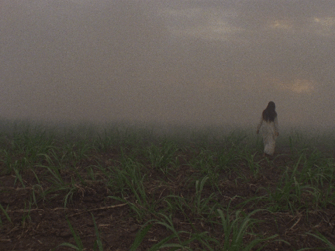 A still image of a person with long black hair wearing a white long-sleeved white dress. The person is walking through a field of soil and large green stalks. The sky is shrouded in smoke.